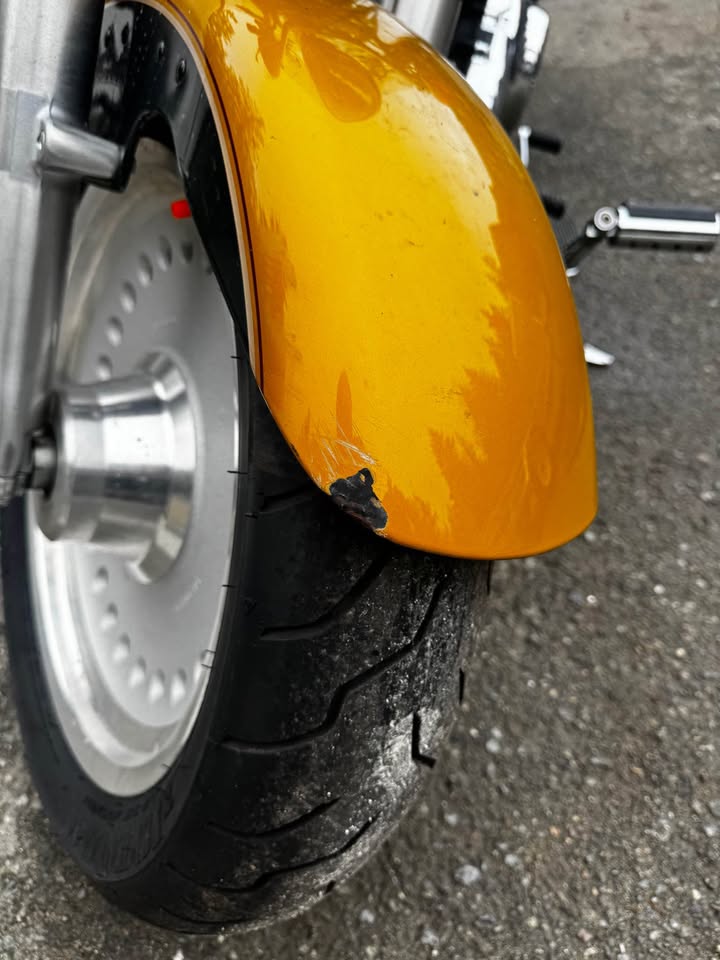 2008 Fatboy