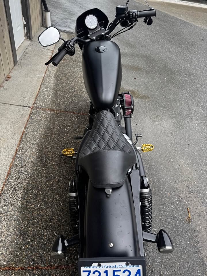 2020 Sportster