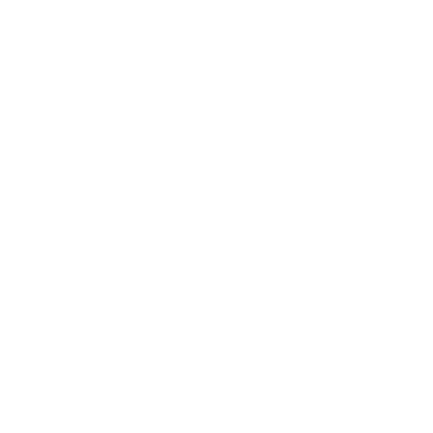 Indian Motorcycle